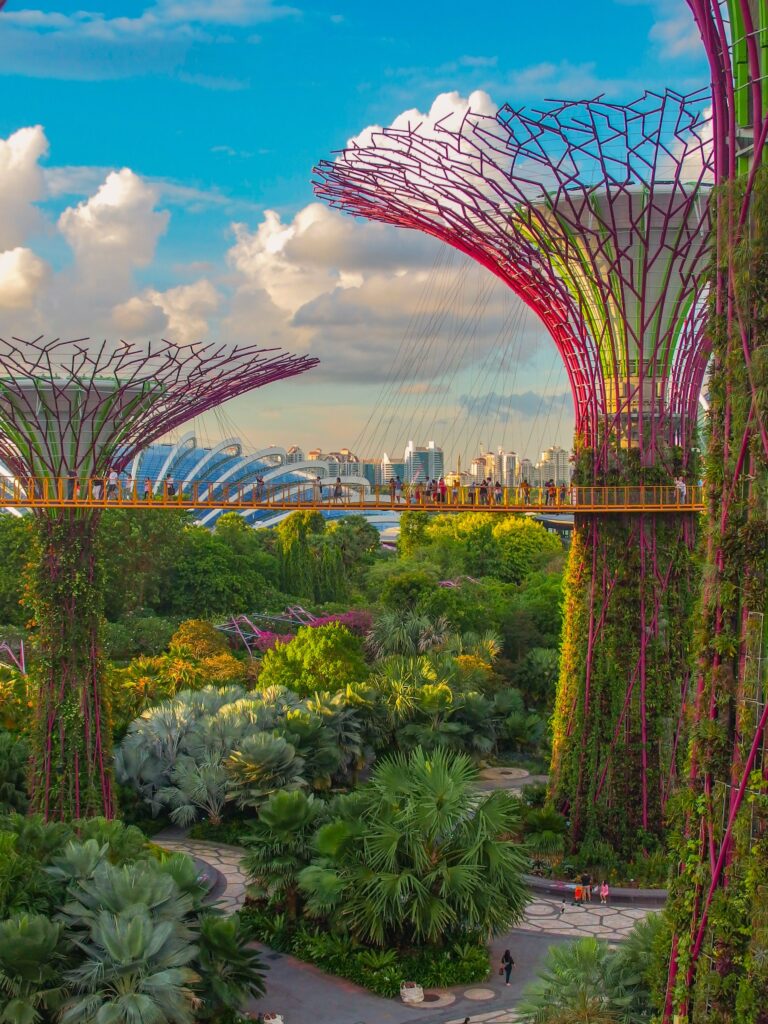 A landscape in Singapore with natural inspired giant structures and greenery