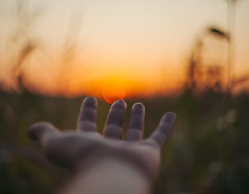 selective focus photo of person laying hand over the sunset